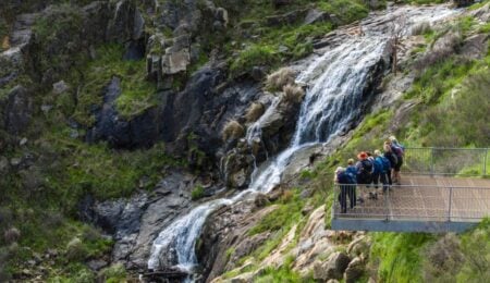Best of Perth Hiking Experience
