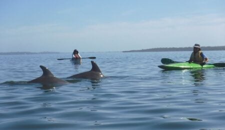Paddle to Pint