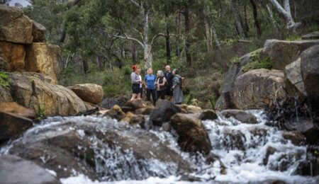 Discover the Bibbulmun Track