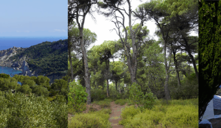 World Trails Conference 2022 to be hosted in Skiathos, Greece from 26–30 September thumbnail